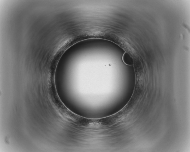 X0000096200591200801251014