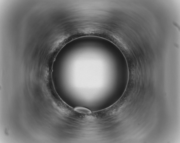 X0000096200592200801251014