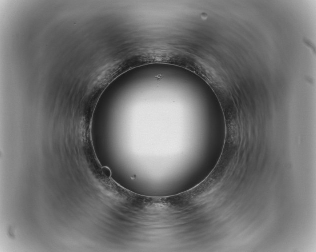 X0000096200594200801251014