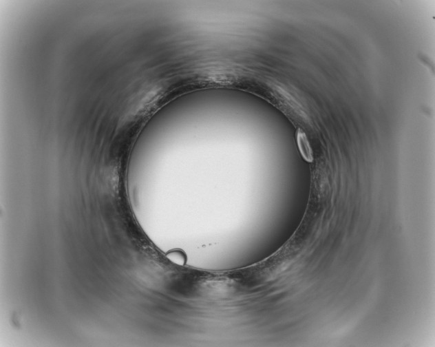 X0000096200595200801251014