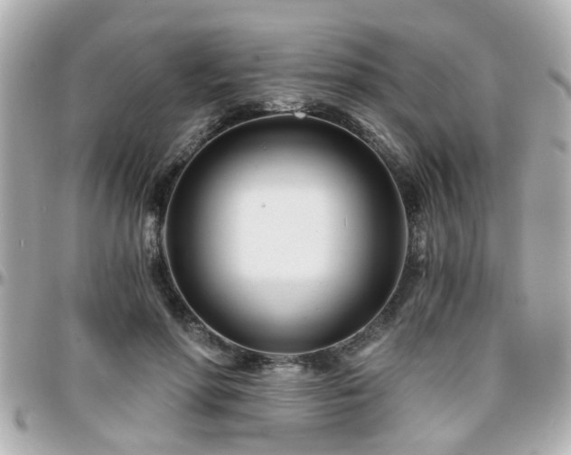 X0000096200598200801251014