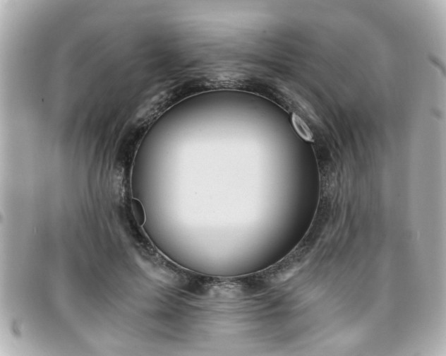 X0000096200599200801251014