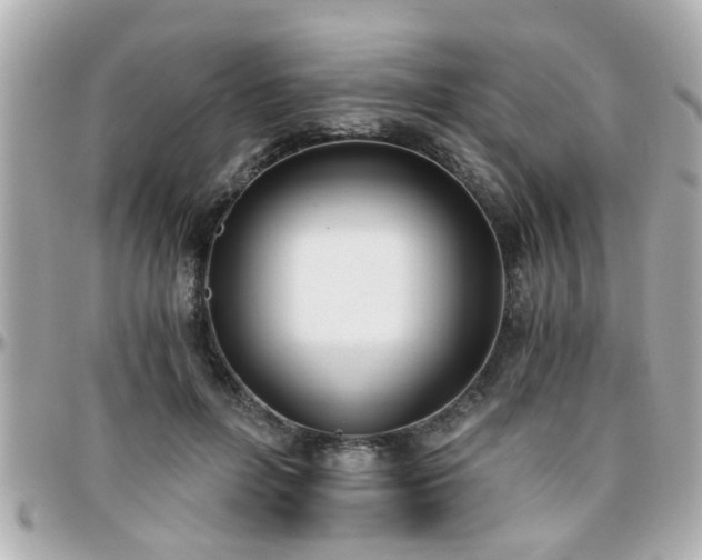 X0000096200600200801251014