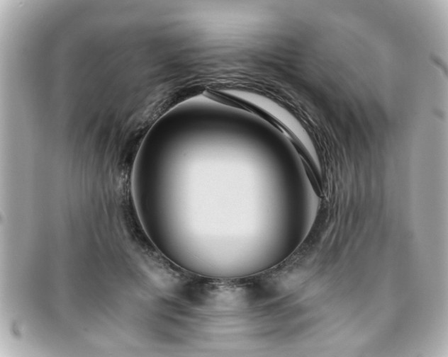 X0000096200601200801251014
