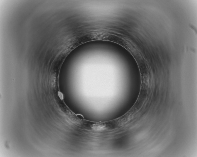 X0000096200602200801251014
