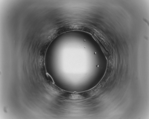 X0000096200605200801251014