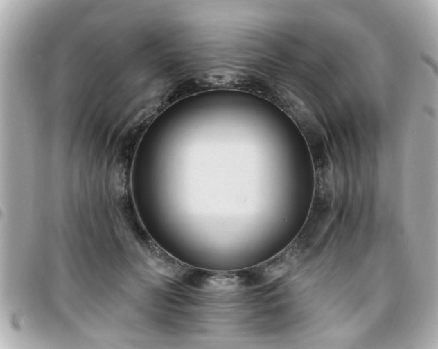 X0000096200606200801251014