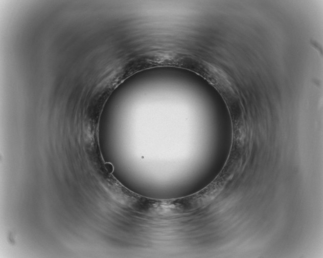 X0000096200607200801251014
