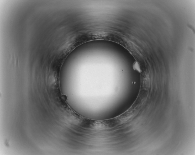 X0000096200608200801251014