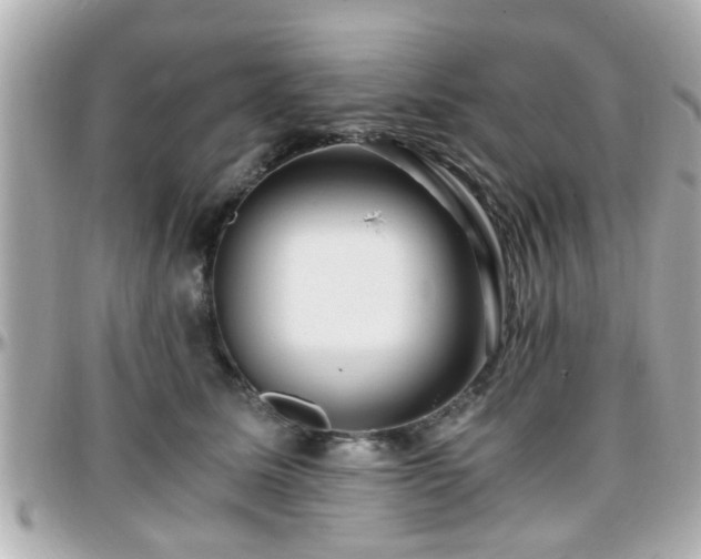 X0000096200611200801251014