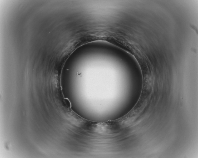 X0000096200612200801251014