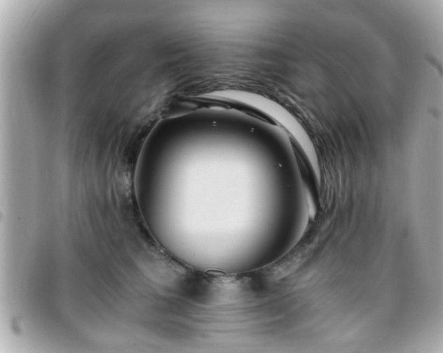 X0000096200613200801251014