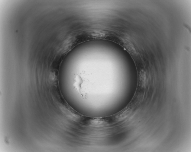 X0000096200614200801251014