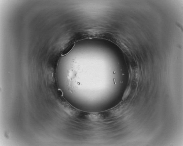 X0000096200615200801251014