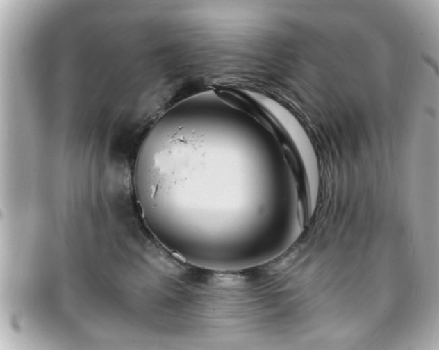X0000096200617200801251014