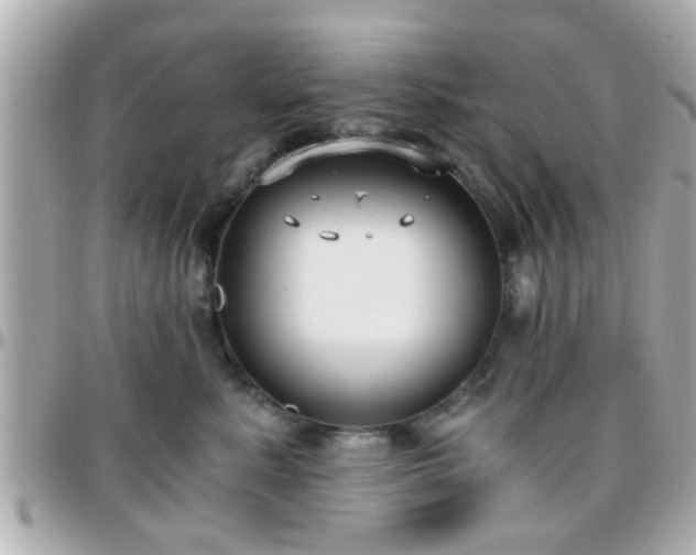 X0000096200619200801251014