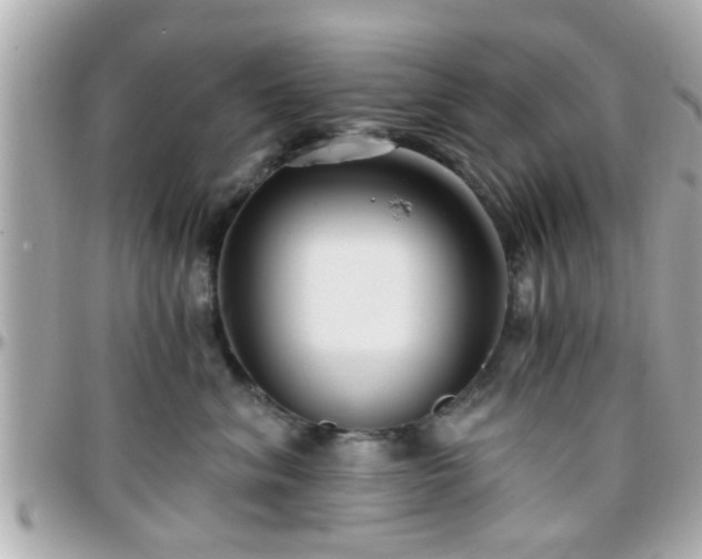 X0000096200620200801251014