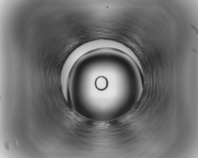 X0000096200621200801251014