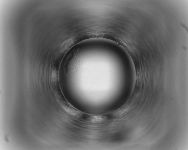 X0000096200623200801251014