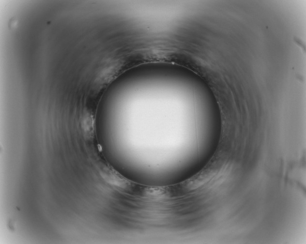 X0000096200624200801251014
