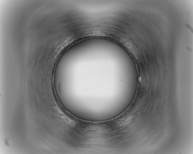 X0000096200625200801251013