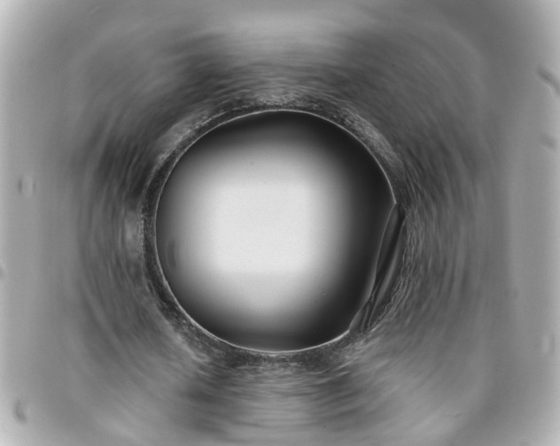 X0000096200626200801251013