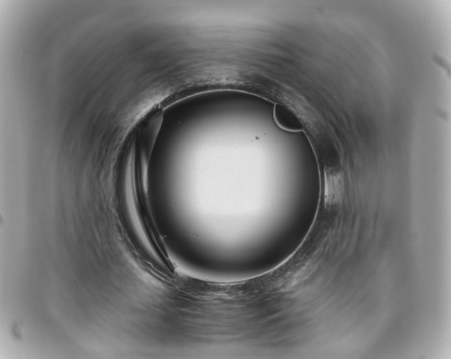 X0000096200627200801251013