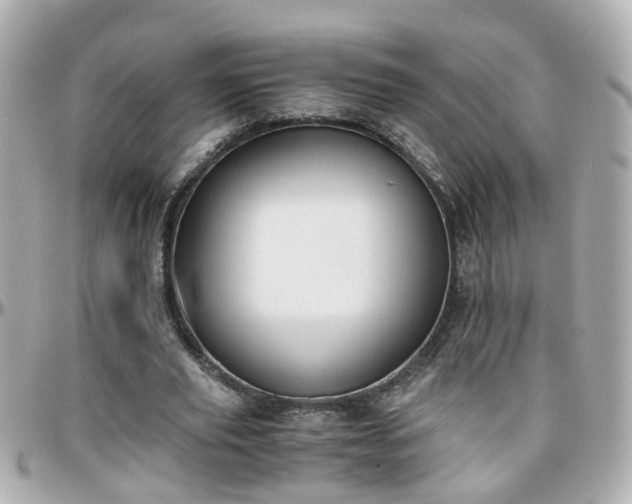 X0000096200629200801251013