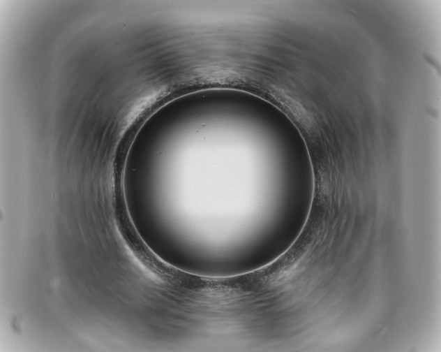 X0000096200630200801251013