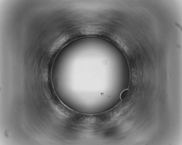 X0000096200631200801251013