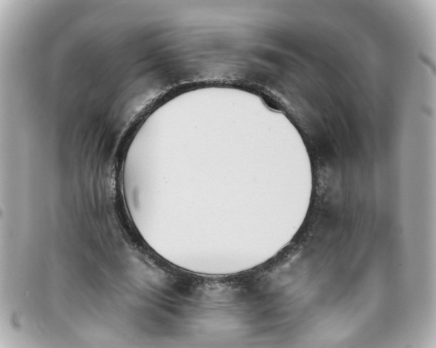 X0000096200632200801251013