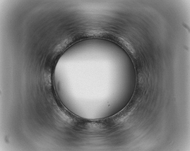 X0000096200633200801251013