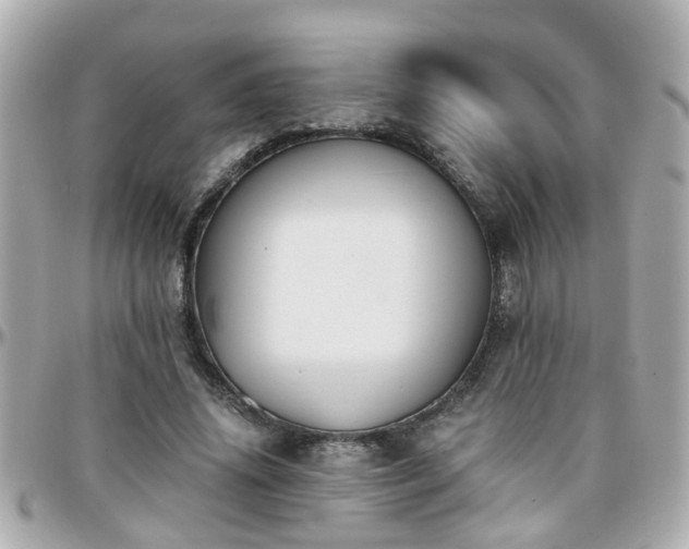 X0000096200636200801251013
