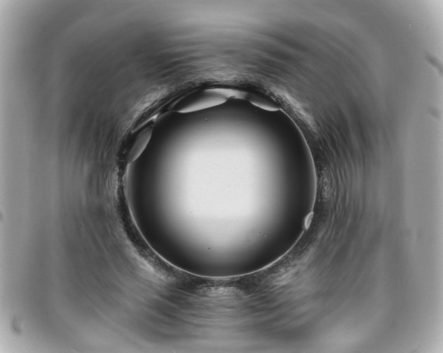 X0000096200637200801251013
