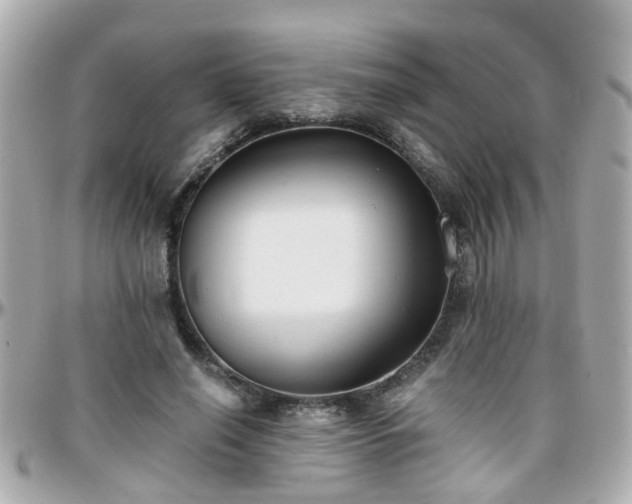 X0000096200638200801251013