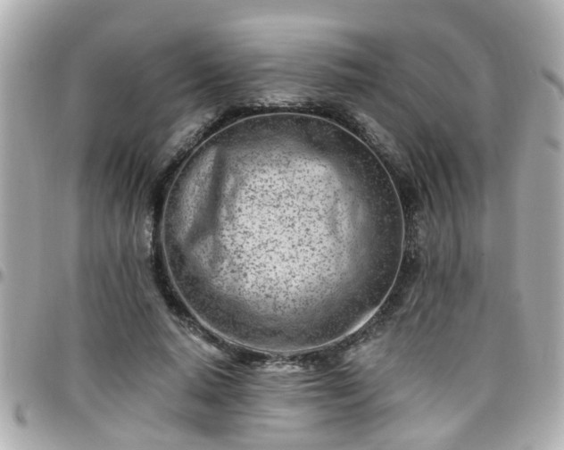 X0000096200640200801251013