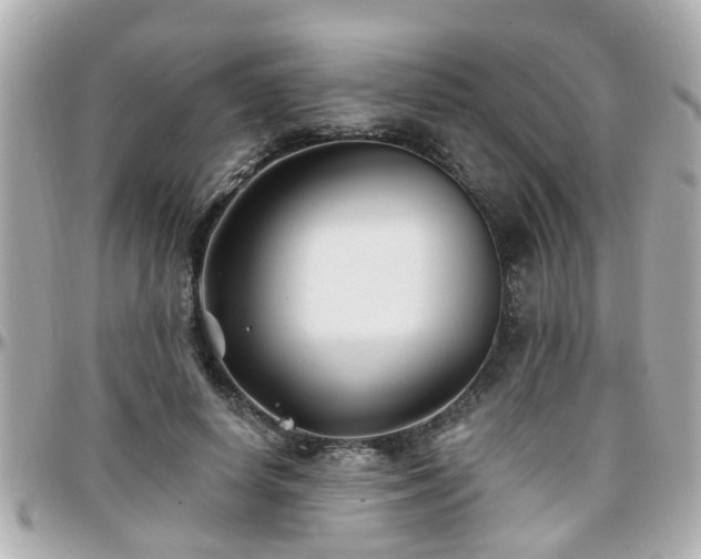 X0000096200642200801251013