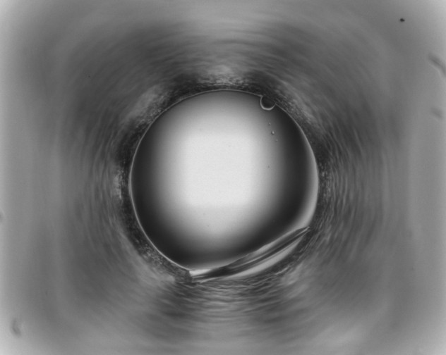 X0000096200643200801251013