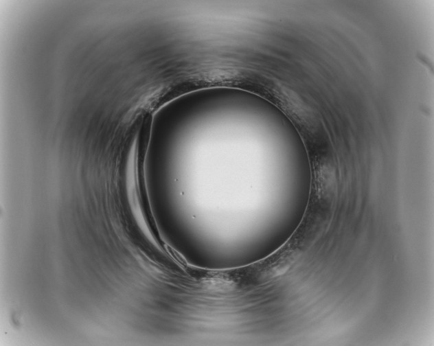 X0000096200644200801251013