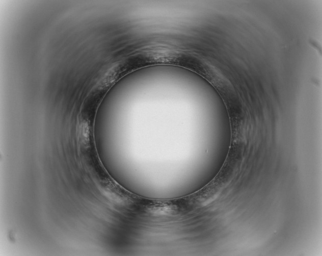 X0000096200646200801251013