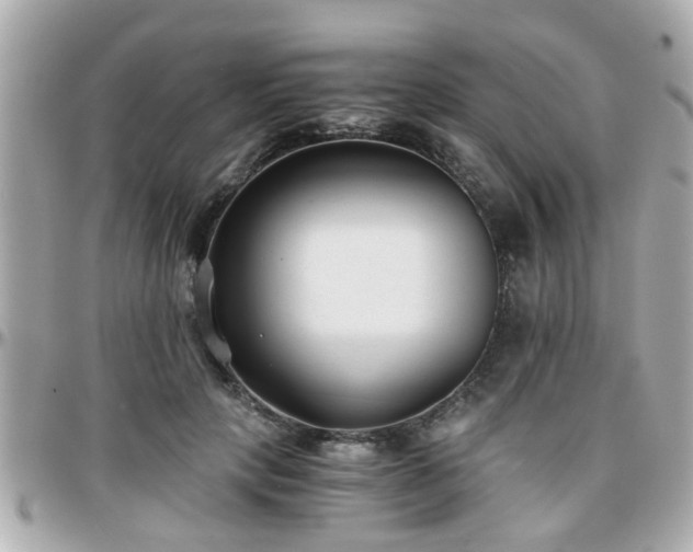 X0000096200649200801251013