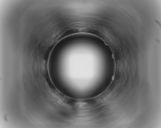 X0000096200650200801251013