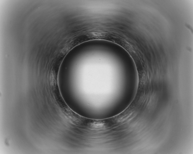 X0000096200651200801251013