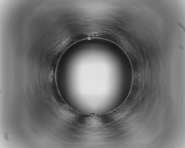 X0000096200652200801251014