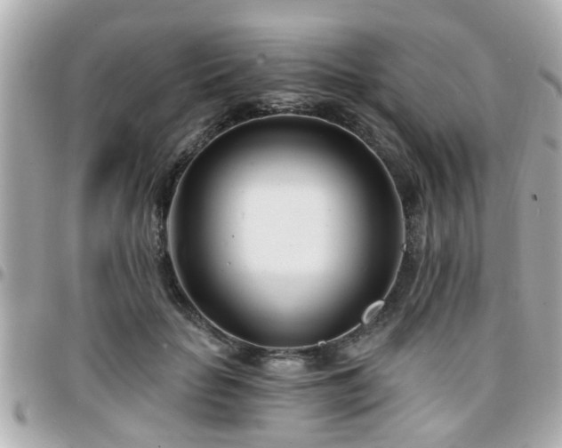 X0000096200653200801251014