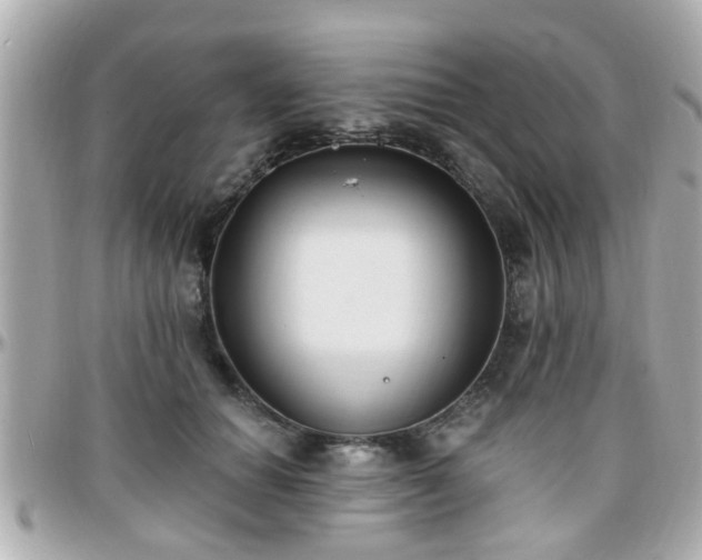 X0000096200654200801251014