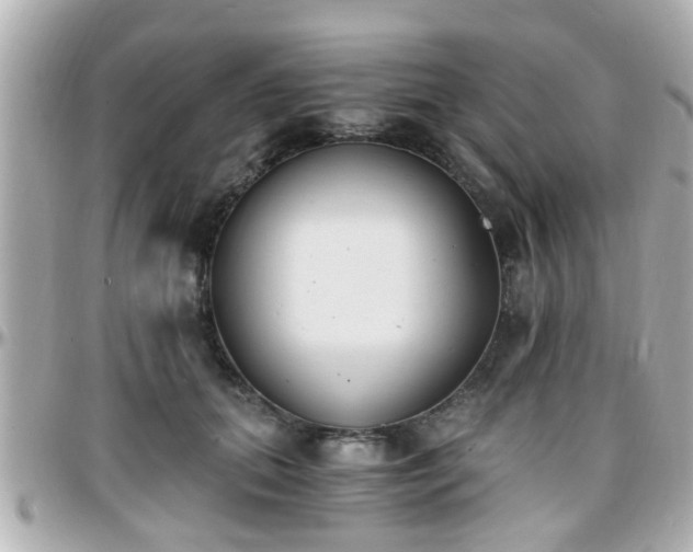 X0000096200655200801251014