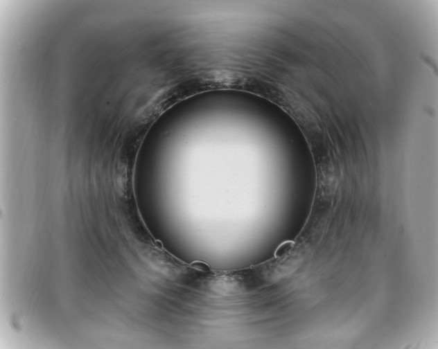 X0000096200656200801251014
