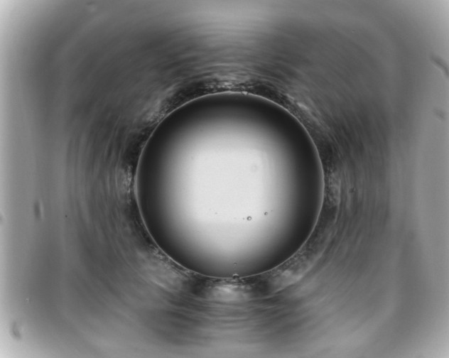 X0000096200657200801251014