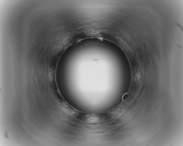 X0000096200658200801251014